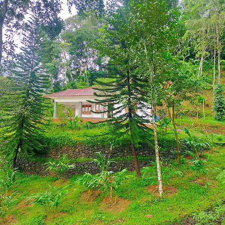 Anivilla Holiday Home Kunjithanny Anachal Luaran gambar