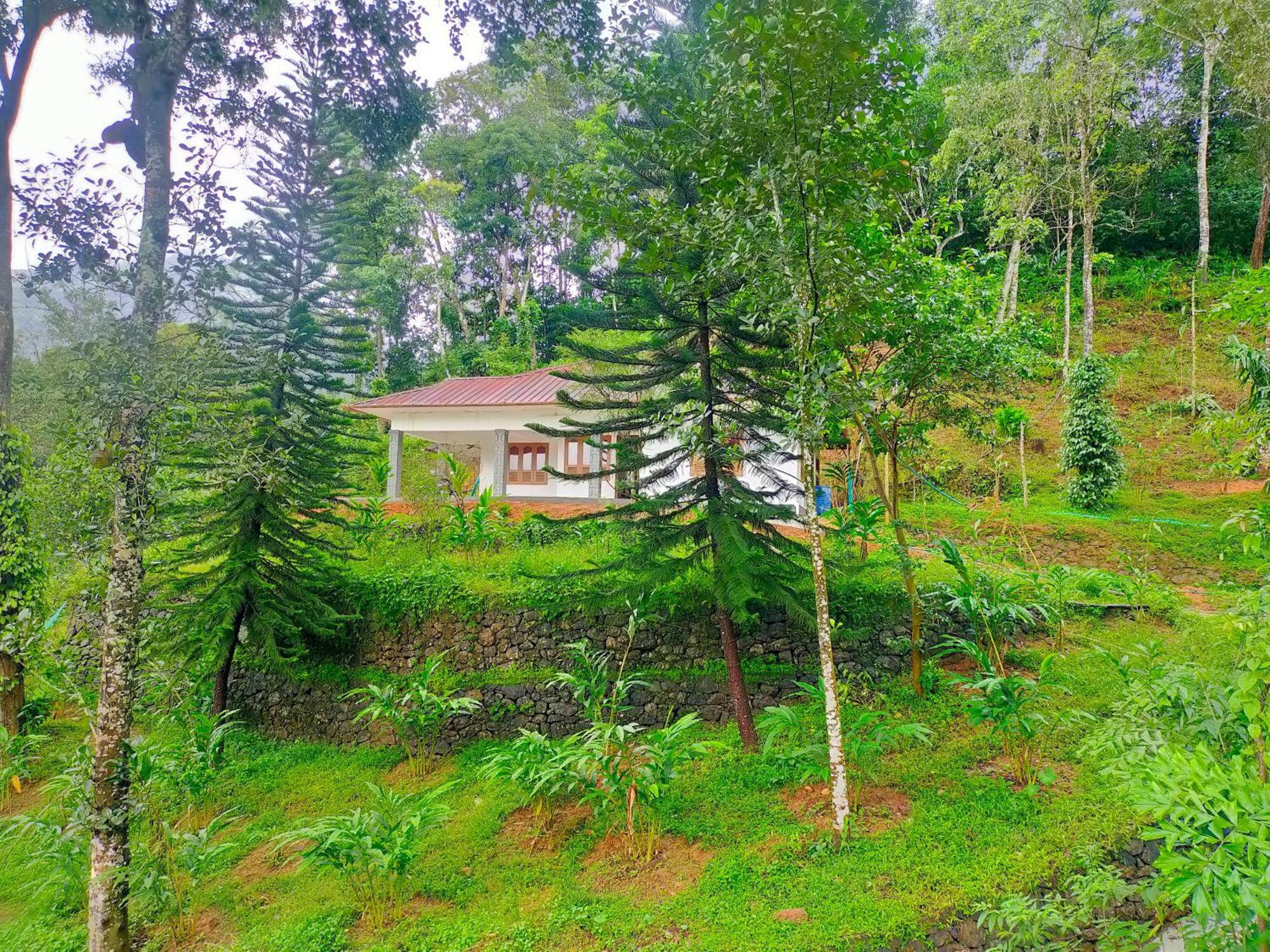 Anivilla Holiday Home Kunjithanny Anachal Luaran gambar