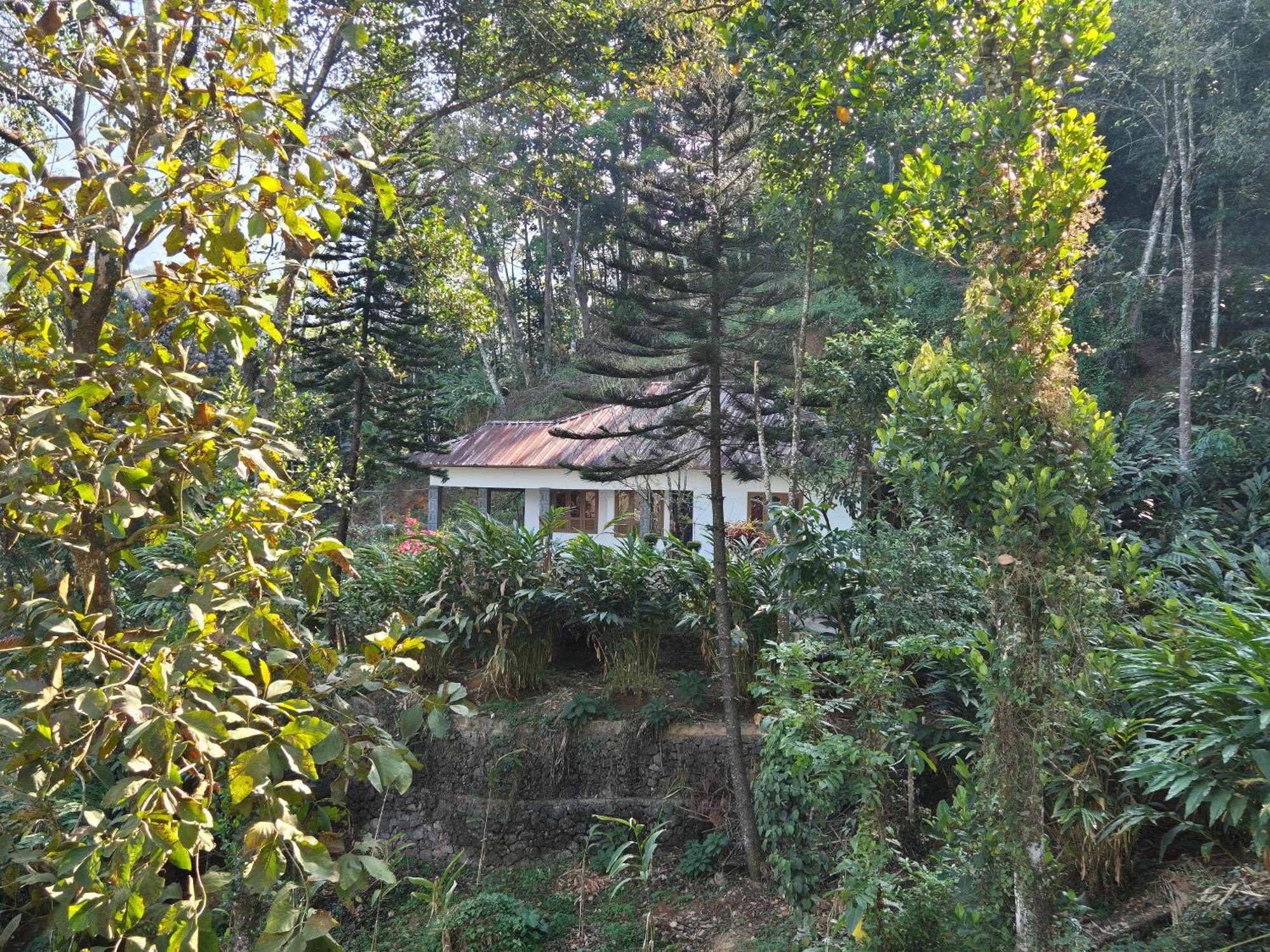 Anivilla Holiday Home Kunjithanny Anachal Luaran gambar