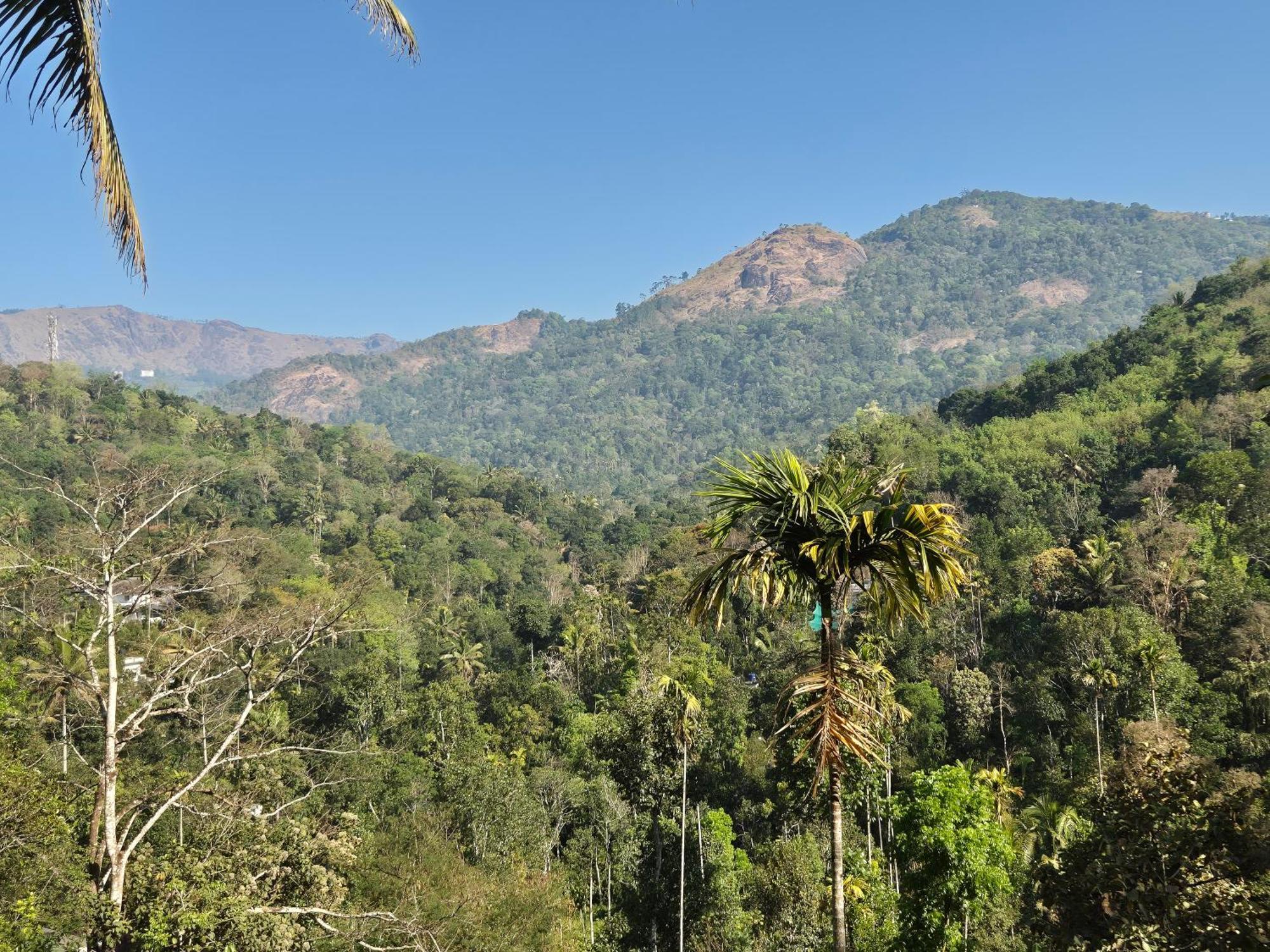 Anivilla Holiday Home Kunjithanny Anachal Luaran gambar
