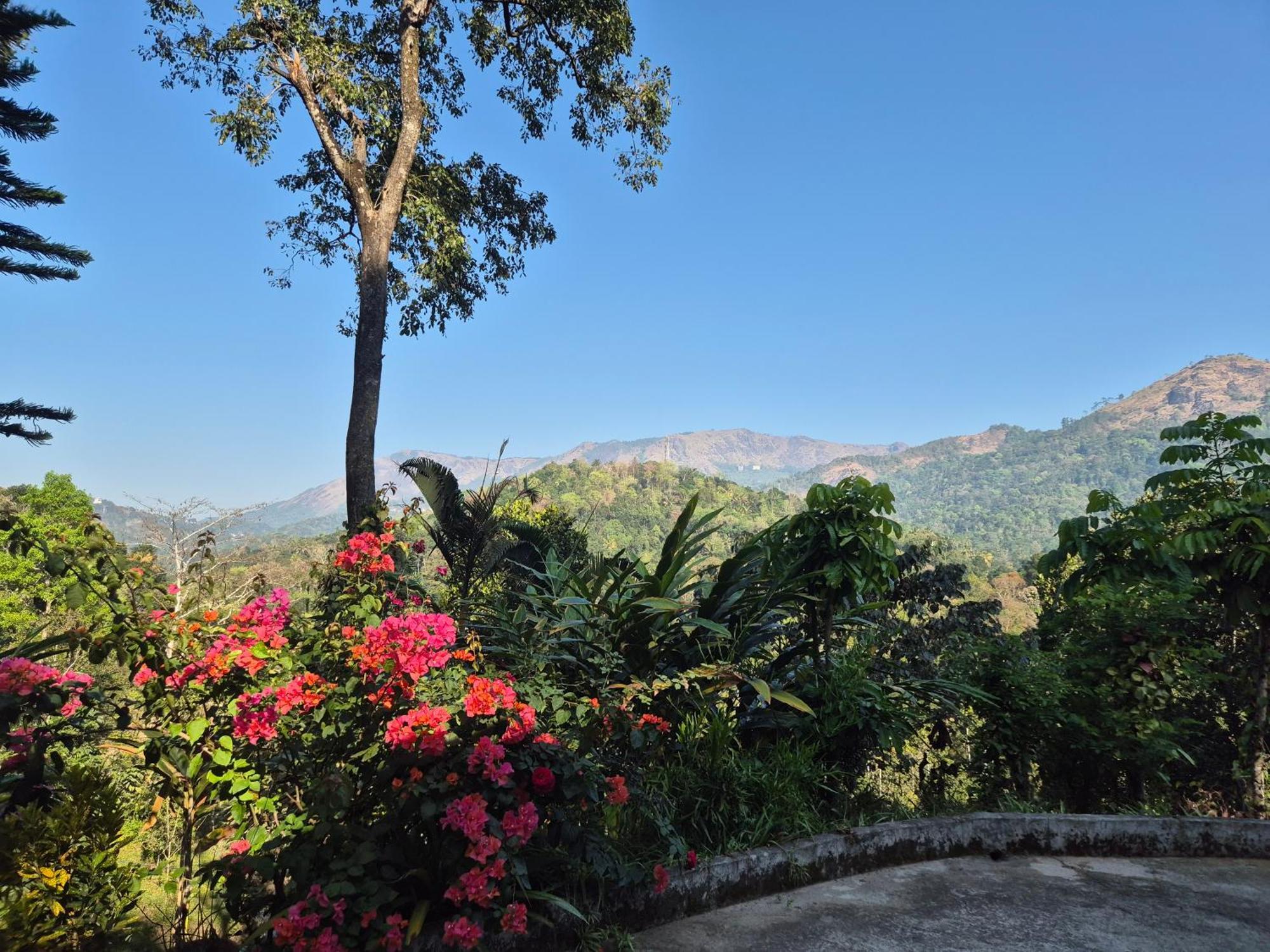Anivilla Holiday Home Kunjithanny Anachal Luaran gambar